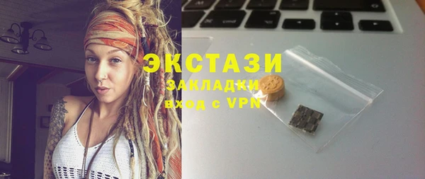 дурь Инта