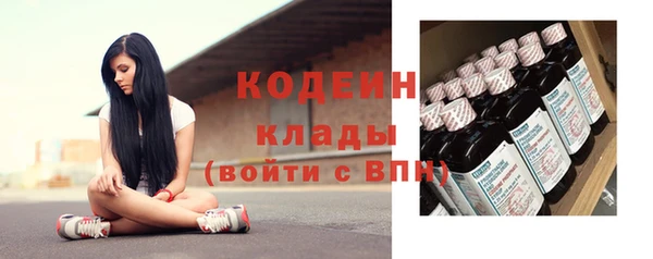 дурь Инта