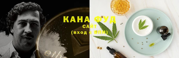 дурь Инта