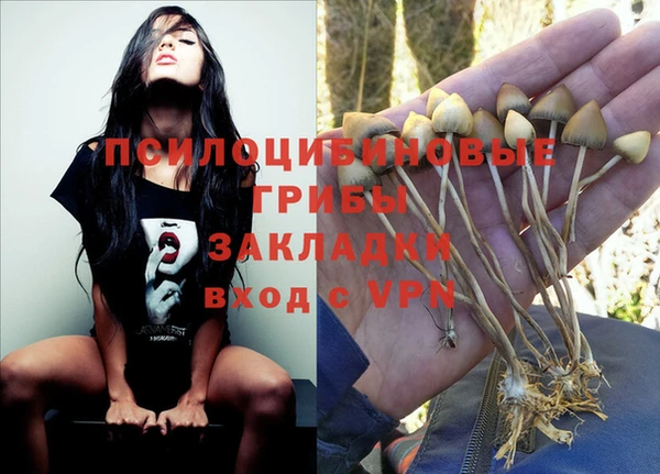 дурь Инта