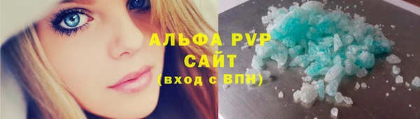 дурь Инта