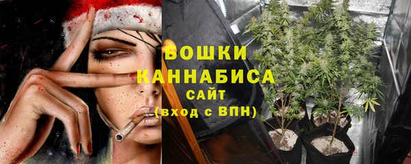 дурь Инта