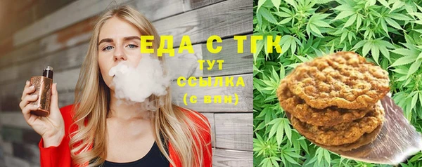 дурь Инта