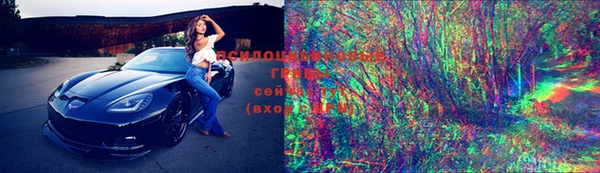 дурь Инта
