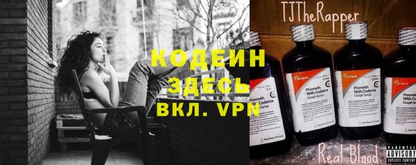 дурь Инта