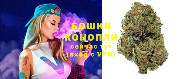 дурь Инта