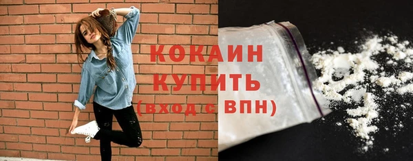 дурь Инта
